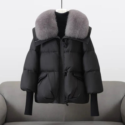 Valine | Stylish & Elegant Winter Jacket