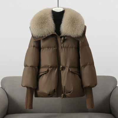 Valine | Stylish & Elegant Winter Jacket